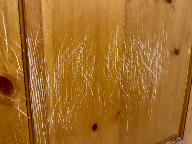 宠物伤害，刮伤门图片下载