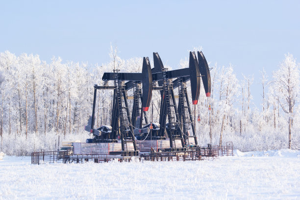 白色的雪地里，树与树之间的南瓜。图片下载