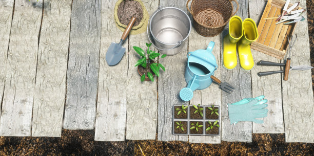 园艺工具和道具在晴天3d渲染图片下载