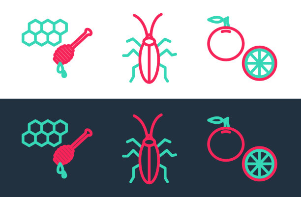 用蜂蜜勺将橙果蜂窝状放置图片下载