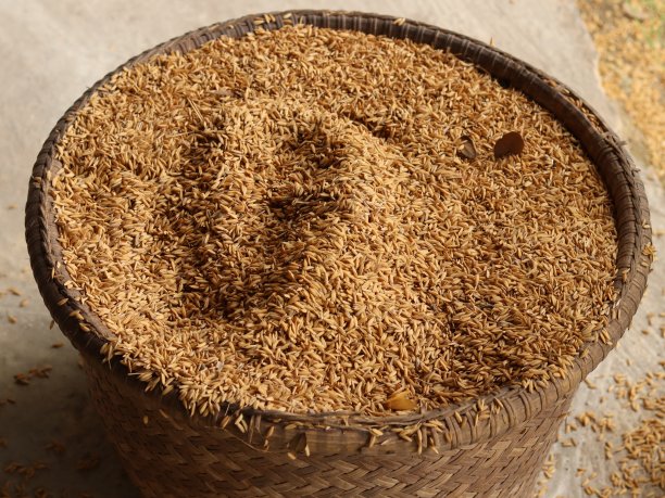 篮子里的谷物，选择性专注。图片下载