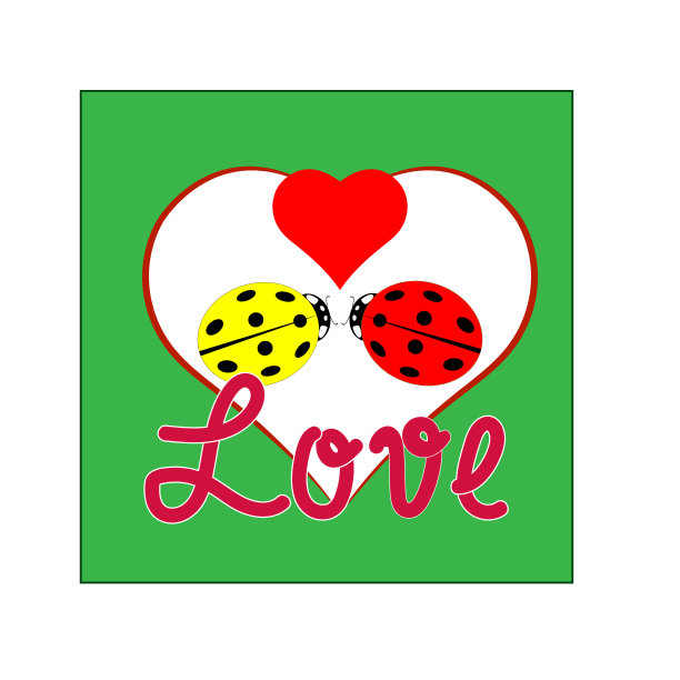 两只瓢虫在白色的心和字母的爱图片下载