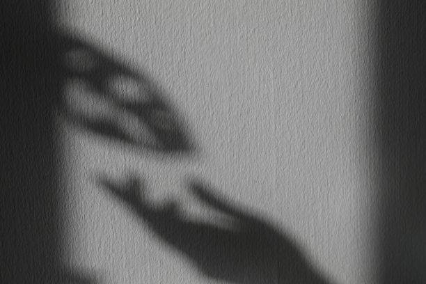 墙上有一个影子和adanson的怪物叶子。图片下载