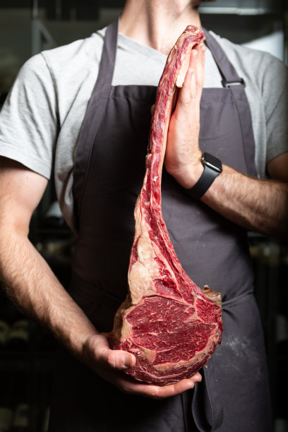 大块生肉图片下载