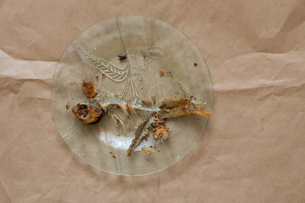 孤立背景的玻璃板上的炸鱼骨架特写图片下载