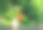 花园里的木桌上放着一束夏天的花和一份报纸和老花镜。夏天的背景图片下载