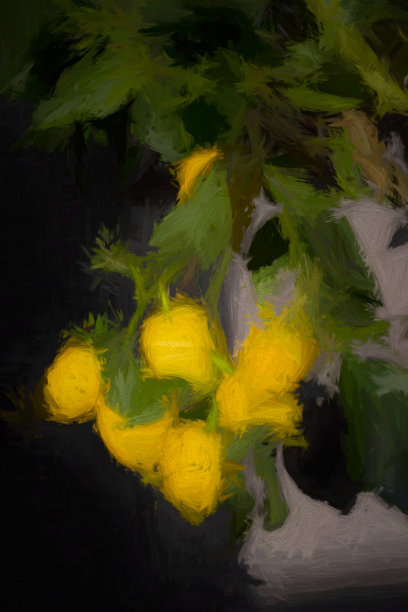 一群柠檬在一个家庭房子的植物图片下载