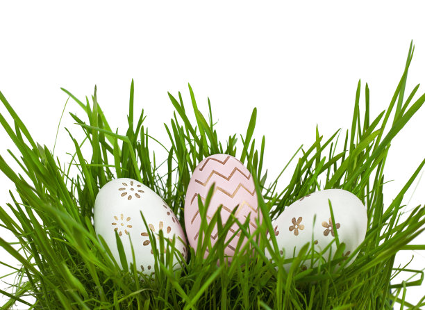 复活节彩蛋躺在白色背景的草地上图片下载