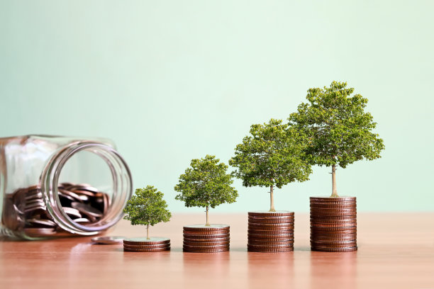 概念显示金融发展和业务增长与生长在硬币上的树。图片下载