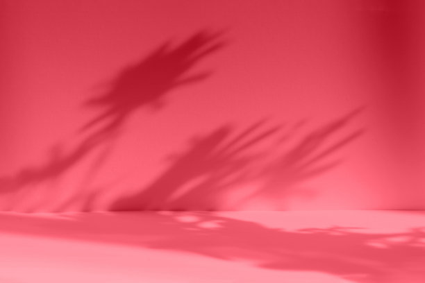 产品演示的抽象红色工作室背景。空房间，窗影，花影，棕榈叶影。带有复制空间的3d房间。2023年度流行色品红万岁图片下载