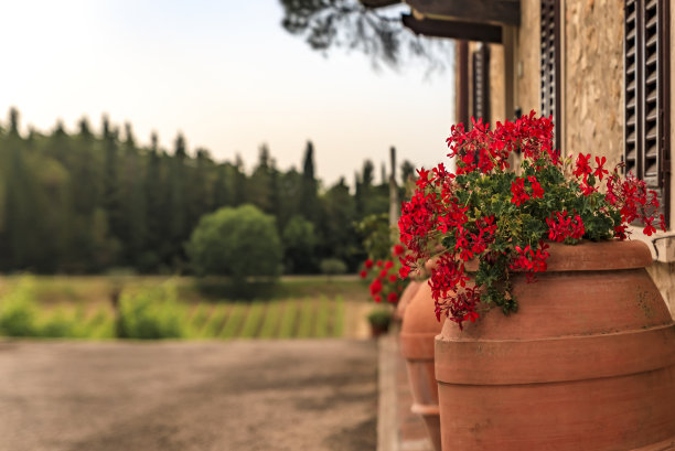 意大利托斯卡纳基安蒂地区葡萄葡萄园里的老石头房子图片下载