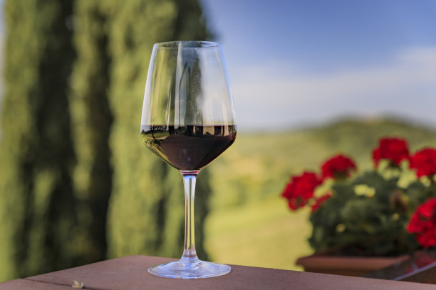 在意大利著名的托斯卡纳地区的一个葡萄园里，一杯红基安蒂葡萄酒的特写图片下载