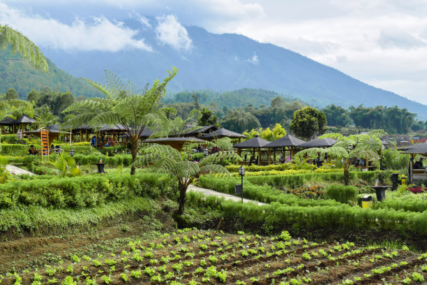 位于Pujon Kidul地区稻田中央的一家餐厅的旅游位置。图片下载
