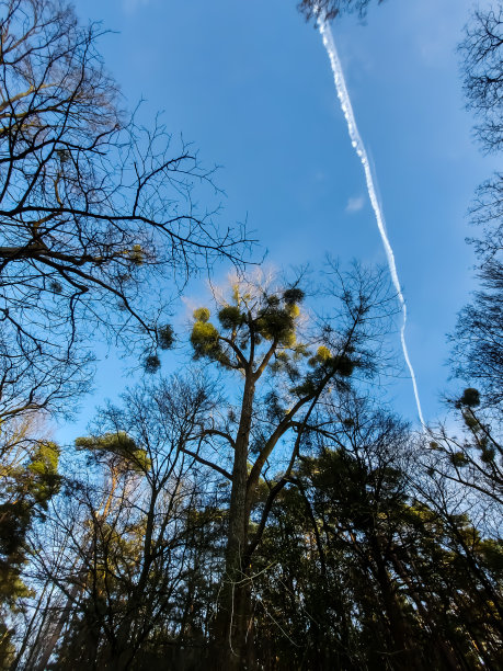 飞机在空中留下尾迹图片下载