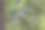 树上的村庄图片下载