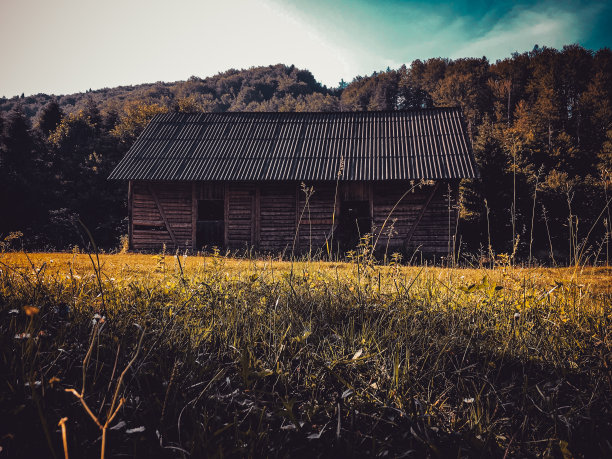 森林中央的空地上矗立着一座旧谷仓图片下载