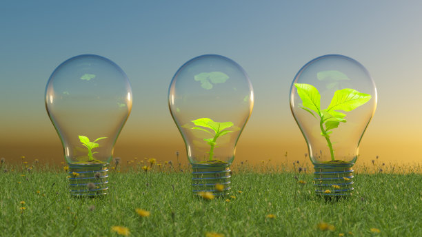 树生长在灯泡不同的生长和不同的步骤。日出或日落时在草地上。图片下载