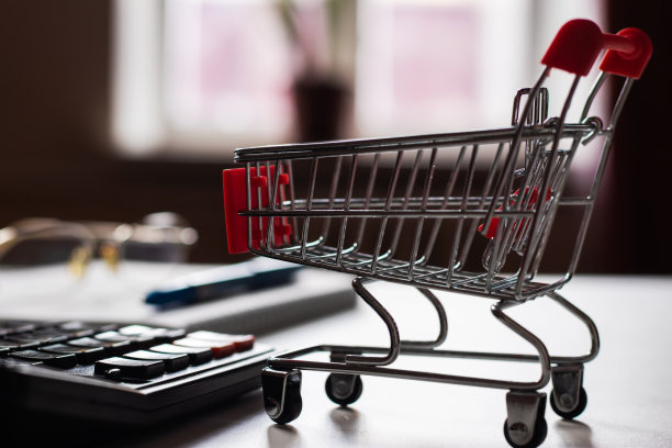 贫困和低收入家庭的预算。不断上涨的食品杂货价格和昂贵的日常消费品概念。图片下载