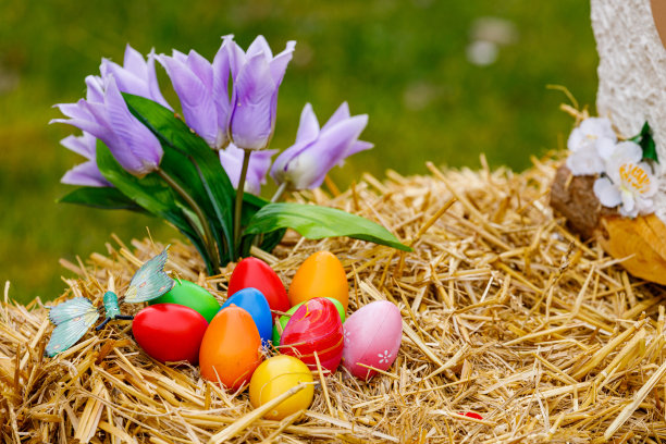 复活节巢和复活节人物图片下载