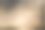 旧木材的纹理被昆虫破坏，在阳光和树荫下图片下载