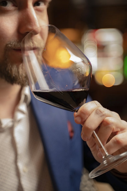 帅哥在俱乐部喝红酒的特写(图片中有一点噪音)图片下载