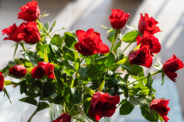 这张照片展示了花瓶里的一束红玫瑰图片下载