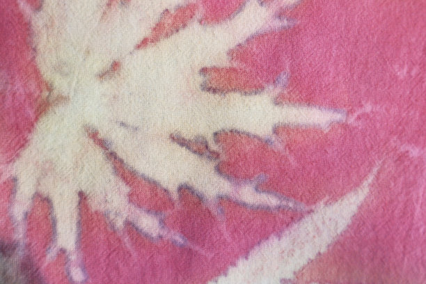 纹理背景的自然白色叶子从生态印刷过程。色彩丰富的生态印刷在粉红色的织物背景。图片下载