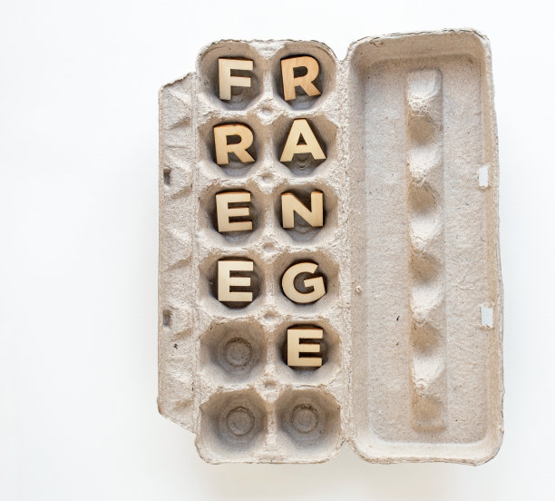 空鸡蛋盒与木制的“自由放养”字样图片下载