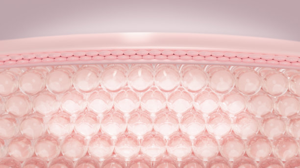 皮肤微结构的3D渲染层。图片下载