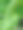 热带植物特写图片下载