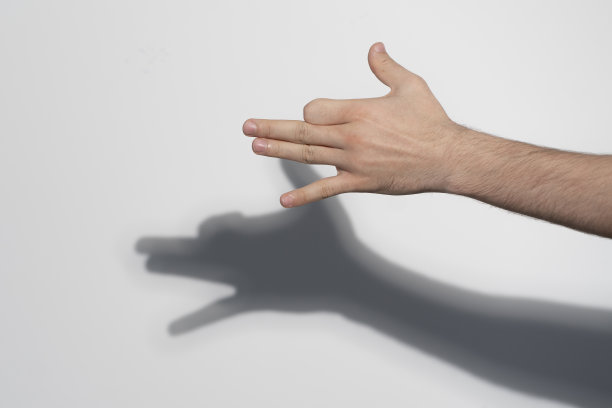 人的手在墙上画出狗的影子图片下载