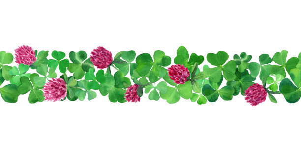 圣帕特里克节的背景。水彩画三叶草花环与花。植物学框架插图与绿色三叶草。图片下载