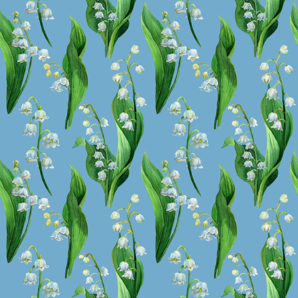 水彩画无缝花纹的铃兰，白花绿叶。植物学的背景图片下载
