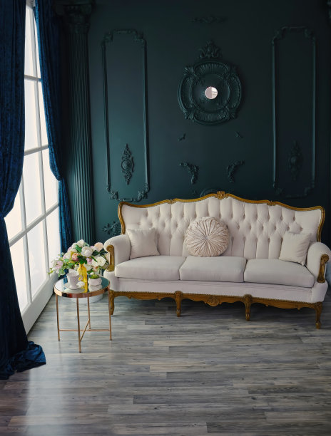 豪华经典古董白色沙发在现代内饰图片下载