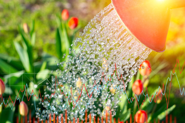 浇花，图表，盈利，理财，投资。有选择性的重点图片下载