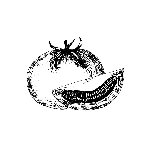 番茄嫁接示意图图片下载