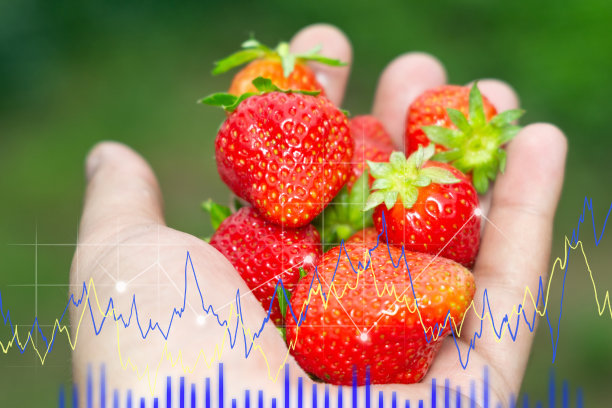 日益增长的草莓。环境和生态学的概念。成功目标和投资成长的理念。图片下载