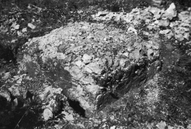 1919年，加拿大萨斯喀彻温省彼得·巴兰坦克里族国家保护区的边界标记图片下载