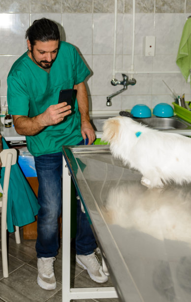 一名兽医在动物医院给一只狗拍照。图片下载