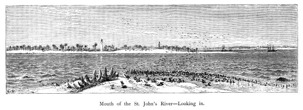 圣约翰河口(向内)，佛罗里达州，美国，地理图片下载