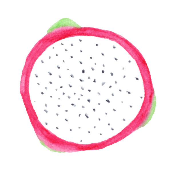 水彩画的火龙果图片下载