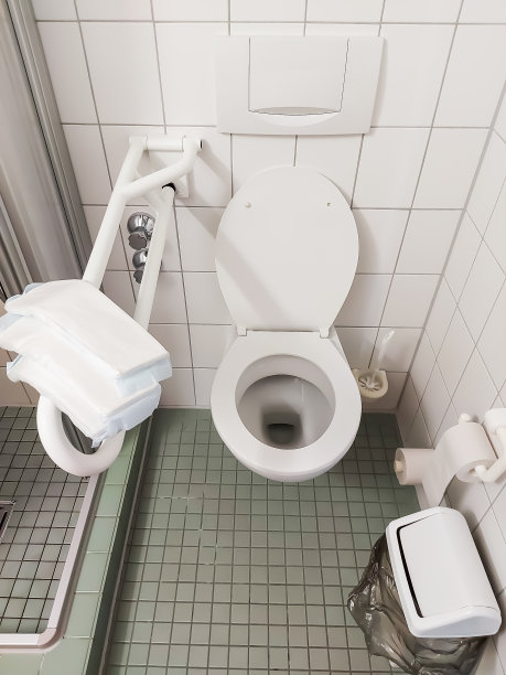 厕所有扶手，可以存放护理用品图片下载