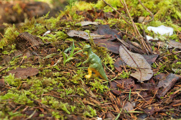 苔藓上的塑料恐龙玩具图片下载