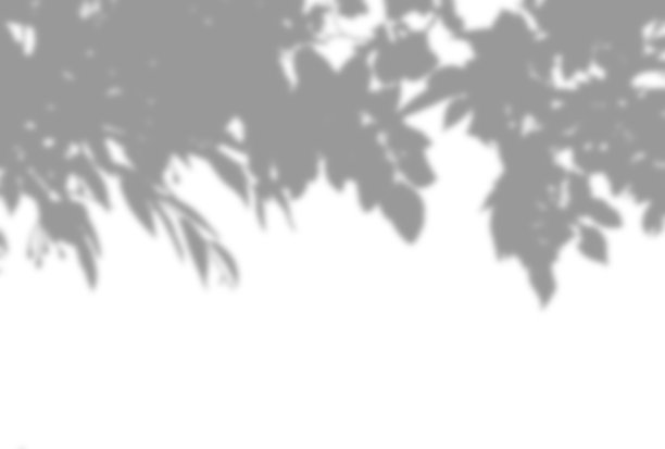 美丽的树影背景插图图片下载