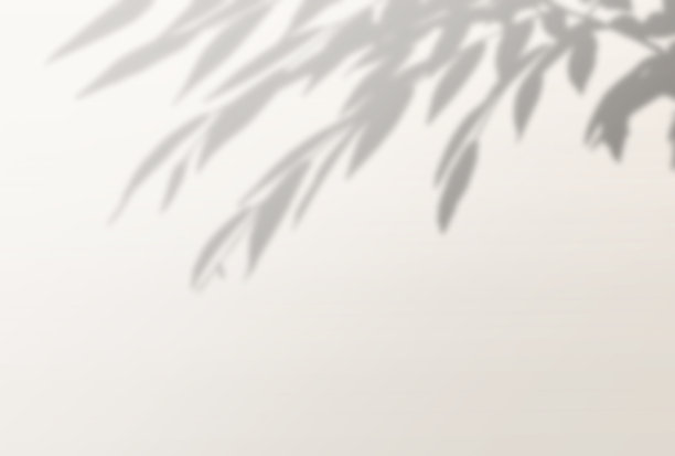 美丽的树影背景插图图片下载