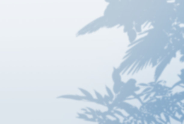 美丽的树影背景插图图片下载