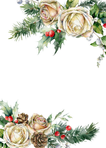 水彩画圣诞垂直边界白玫瑰，冬青，松枝和叶子。手绘节日贺卡植物孤立的白色背景。插图设计，印刷，织物，背景。图片下载