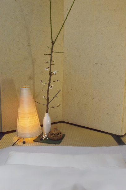 白梅家居装饰图片下载