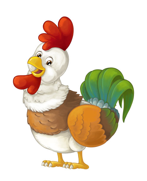 卡通有趣的鸟鸡公鸡孤立在白色背景-插图儿童图片下载