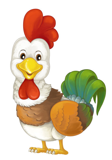 卡通有趣的鸟鸡公鸡孤立在白色背景-插图儿童图片下载